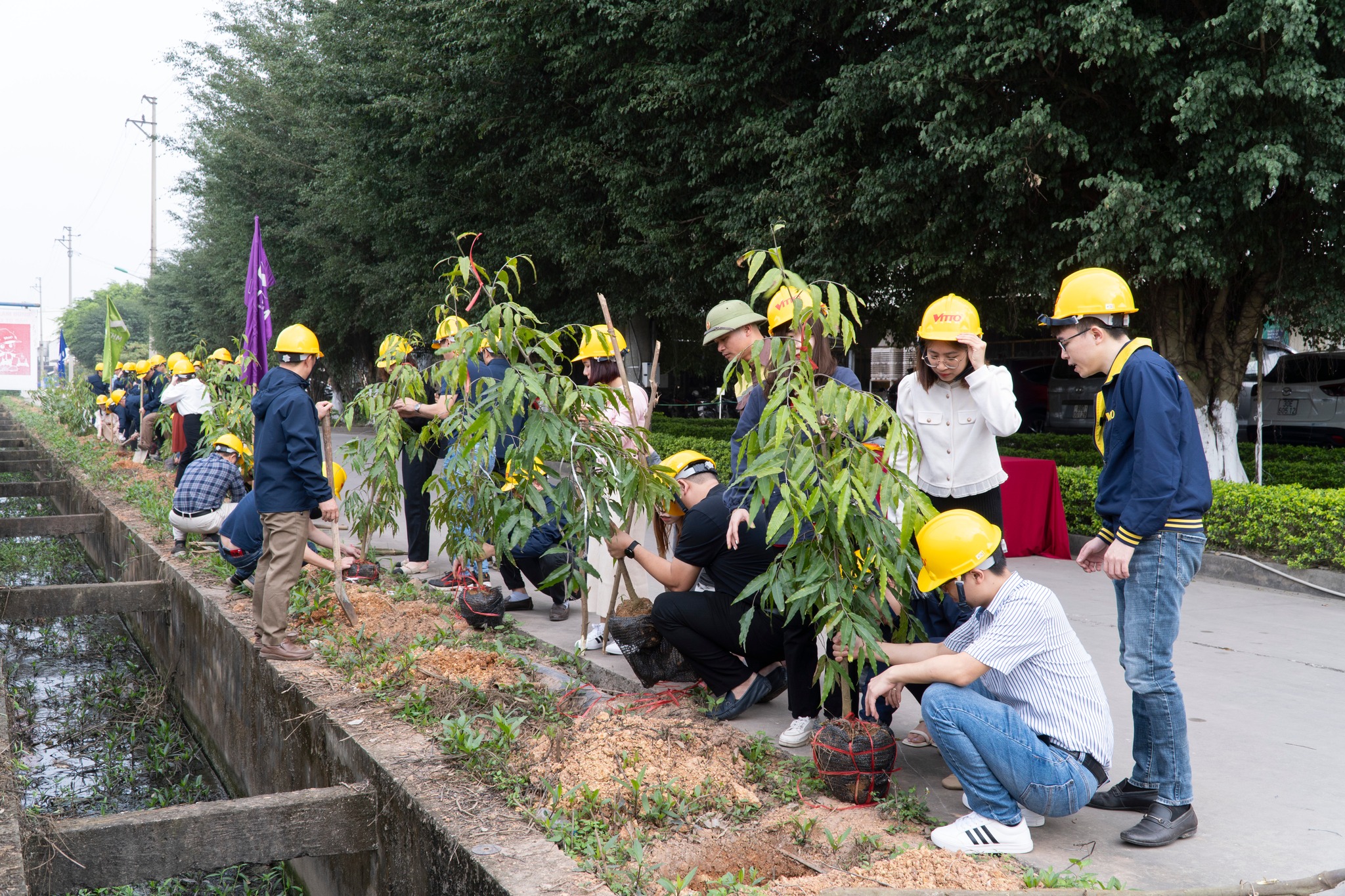 Phát Động Tết Trồng Cây “Vì Một Việt Nam Xanh”