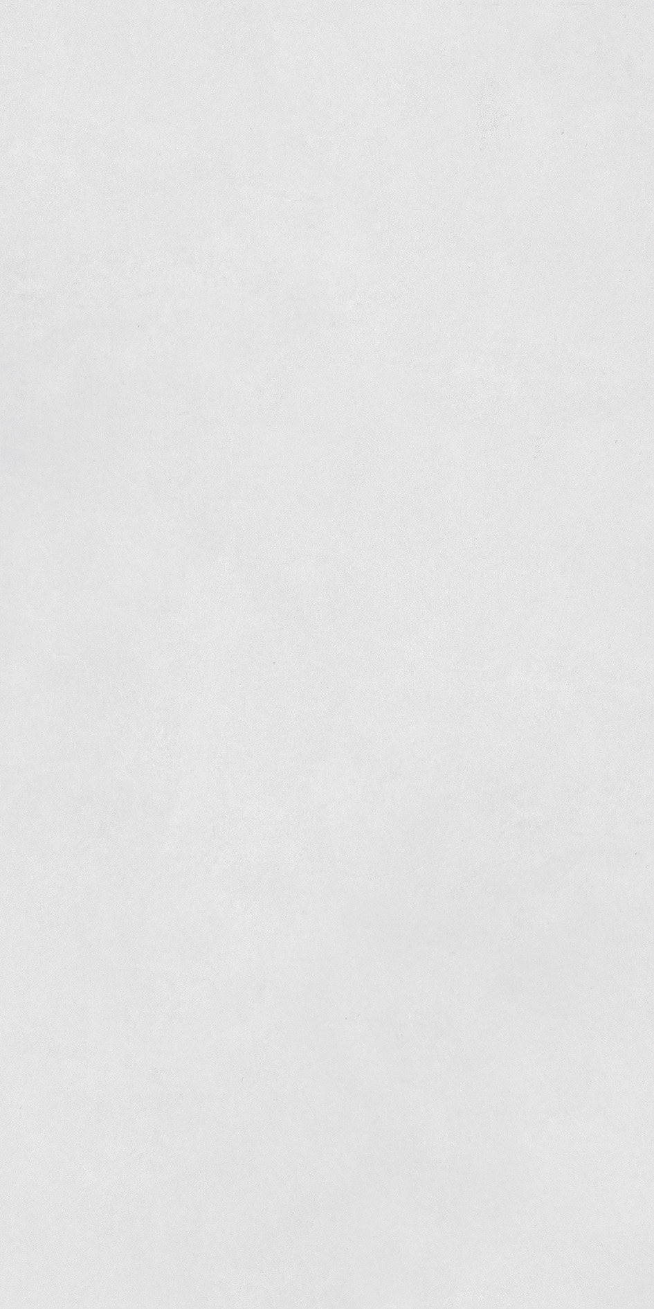 26204